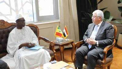 وزير التعليم العالي يؤكد حرص مصر على تقديم كافة أشكال الدعم للدول الإفريقية