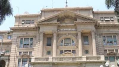 الزراعة: زراعة البن فى مصر مازالت فى إطار التجارب البحثية