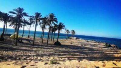 أحد مشايخ قبيلة الترابين: أرض سيناء تعيش أهم مرحلة من مراحل التعمير