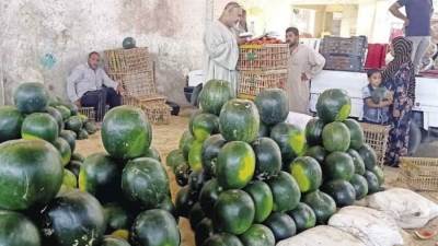 شعبة الخضراوات والفاكهة تؤكد: البطيخ بالسوق آمن والأسعار ستتراجع قريبا