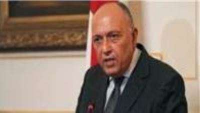 وزير الخارجية يناقش الشراكة الاستراتيجية مع ممثل الاتحاد الأوروبى