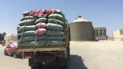 وزارة التموين: توريد 1.8 مليون طن قمح محلى من المزارعين حتى الآن