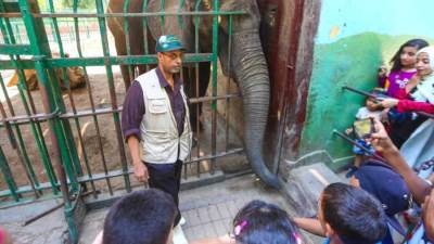 وزارة الزراعة: تذكرة دخول حدائق الحيوان فى المحافظات بـ 5 جنيهات