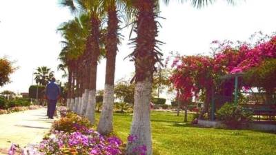 تكثيف صيانة المسطحات الخضراء والمتنزهات بالمدن الجديدة مع عيد شم النسيم وبالتزامن مع فصل الربيع