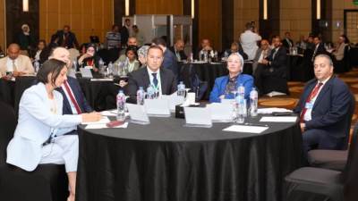 وزيرة البيئة تستعرض دور الهيدروجين الأخضر في تحقيق أهداف مصر للتنمية المستدامة