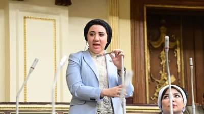 الحبيب النوبي يهنئ النائبة أميرة صابر لانتخابها رئيسًا مشاركا للمبادرة العالمية لشباب البرلمانيين