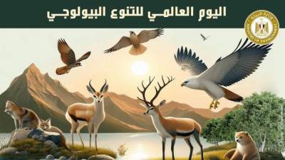 وزيرة البيئة: اليوم فرصة لتعزيز  المشاركة لحماية كوكبنا ومواردنا الطبيعية