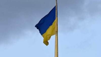 الرئاسة الأوكرانية : الأرجنتين تعتزم الانضمام إلى التحالف الدولي من أجل عودة الأطفال الأوكرانيين