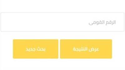 بالرقم القومي.. نتيجة الصف السادس الابتدائى الترم الثانى فى الجيزة