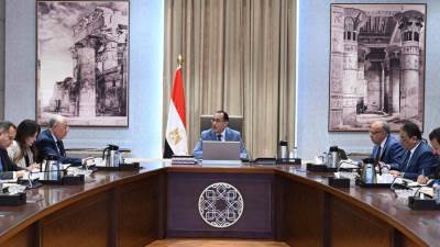 رئيس الوزراء يناقش مقترح إنشاء منظومة رقمية لكافة الأراضى الزراعية