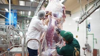 الزراعة: ضخ كميات إضافية من اللحوم بمنافذ الوزارة لمنع زيادات الأسعار