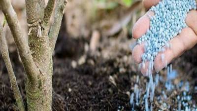 "أبو قير للأسمدة": توريد 692 ألف طن أسمدة لوزارة الزراعة خلال 9 شهور