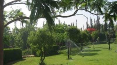 جهود وزارة البيئة في مجال التشجير وتنفيذ مبادرة " 100 مليون شجرة "