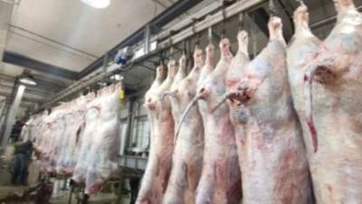 محافظة القاهرة تفتح مجازرها مجانا للمواطنين طوال أيام العيد