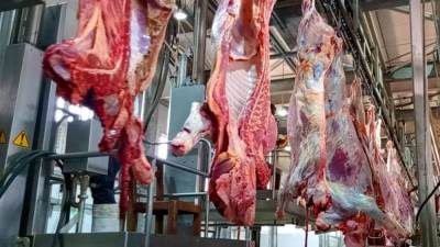 وزارة الأوقاف: بدء توزيع لحوم الأضاحى الخميس المقبل والبداية من الجيزة