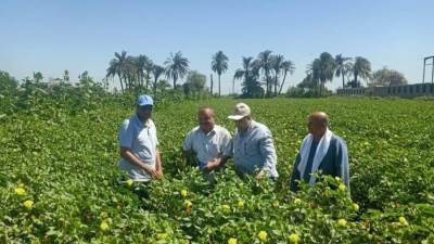 وزير الزراعة يتابع جهود حماية الأراضى الزراعية من التعديات في كل المحافظات