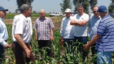 رئيس البحوث الزراعية يتفقد محطة الجميزة.. ومهندسو الحجر الزراعي في الموانئ والمنافذ