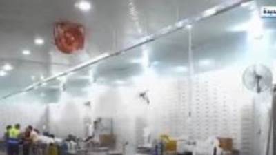 حياة كريمة تعلن توزيع وجبات على الأسر الفلسطينية المتواجدة بمحافظات مصر