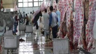 وزارة الزراعة: المجازر البيطرية استقبلت 31 ألف أضحية خلال أيام العيد