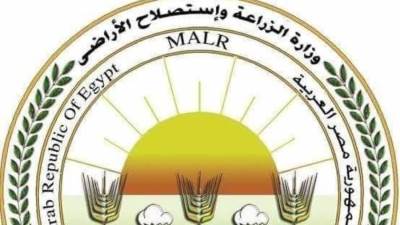 "الحجر الزراعي" يواصل إتمام اجراءات فحص الرسائل الواردة من القمح في موانئ مصر