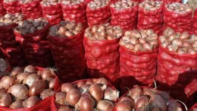 "فتة العيد" ترفع إستهلاك المصريين من البصل لـ 300 الف طن في 5 أيام 