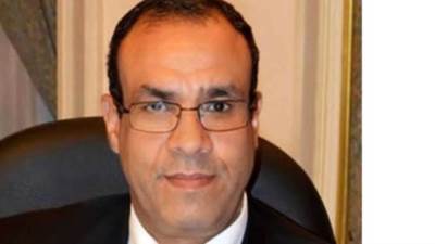 تعرف على السيرة الذاتية للسفير بدر عبد العاطى