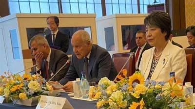 أبو الغيط يطالب بالانتقال بالشراكة العربية اليابانية لشراكة استراتيجية