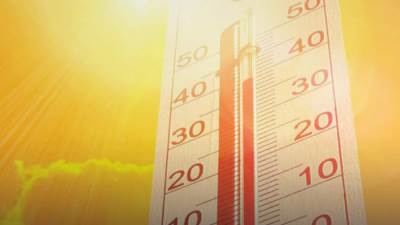 طقس الجمعة.. استمرار ارتفاع درجات الحرارة تأثراً بـ "منخفض الهند الموسمي"