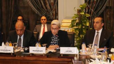 ياسمين فؤاد : ٦ برامج فرعية فيما يخص محور البيئة بالبرنامج تستهدف التصدي لآثار ظاهرة تغير المناخ