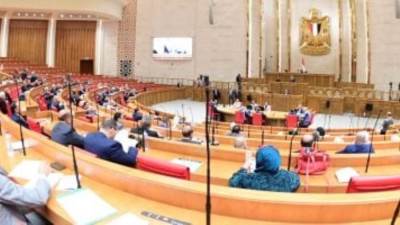 نائبة بالجلسة العامة: الحكومة الجديدة حكومة أمل.. ومتفائلة بـ كامل الوزير