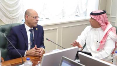 وزير العمل يستمع من شركة سعودية عن برنامج للقياس المهاري والفحص المهني للشباب المصري الراغب للعمل في "المملكة"