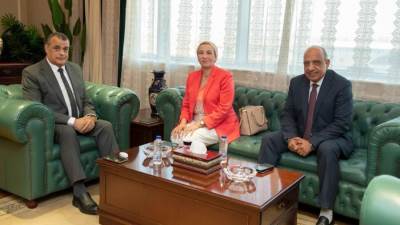 محمود عصمت: خفض استهلاك الوقود والاعتماد على الطاقات النظيفة والاستفادة من محطات معالجة المخلفات فى توليد الكهرباء