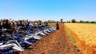 "الزراعة" تستعرض انجازات برنامج دعم صغار المزارعين في صعيد مصر والدلتا للعام المالى 23/24