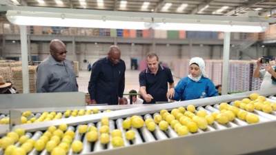 الزراعه: 10 سفراء أفارقة تجمع «السادك SADC» يتفقدون محطات التصدير بالطريق الصحراوى