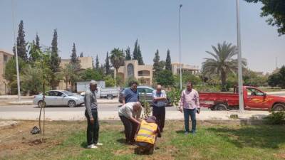 جهاز تنمية مدينة الشروق يعلن بدء زراعة 3500 شجره مُثمرة بعدة أحياء ومناطق بالمدينة