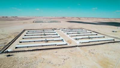 "كايرو ثري ايه" تواصل تعزيز صناعة الدواجن.. الشركة تنجح فى ايجاد حلول لمواجه تحديات الطاقة