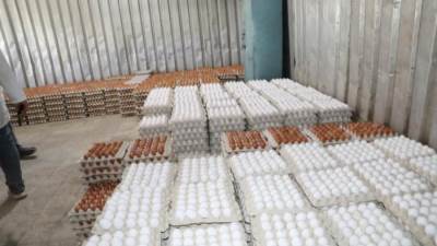 وزير الزراعة يتفقد مزرعة الاصلاح الزراعي لإنتاج البيض بايتاي البارود.. ويشيد بجهود العاملين بها