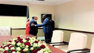 وزير الخارجية يلتقي الرئيس الكيني وينقل رسالة شفهية من الرئيس السيسى