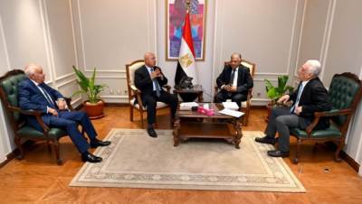 نائب رئيس الوزراء للتنمية الصناعية يلتقى شركة هندية لبحث فرص الاستثمار بمصر