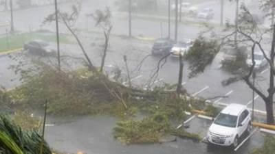 إعصار ماريا يضرب شمال شرق اليابان مصحوبا بأمطار غزيرة