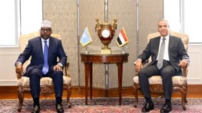 بدر عبد العاطي يؤكد لنظيره الصومالى رفض مصر لأى تدخل فى الشئون الداخلية لمقديشيو