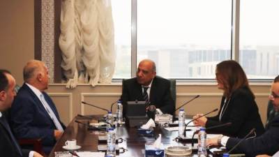 محمود عصمت: نتعاون مع البرلمان في تعديل تشريعي لتغليظ العقوبة فى جرائم التعدى على الكهرباء