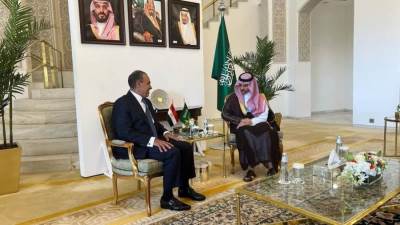 وزير الخارجية يبحث مع نظيره السعودي التعاون الثنائي والتنسيق بشأن مواجهة التحديات