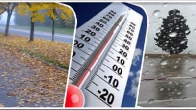 33 يوما وينتهى الصيف.. الخريف يبدأ الأحد 22 سبتمبر وطوله 89 يوما و20 ساعة