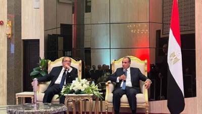 وزير الخارجية يلتقي رموز الجالية المصرية في العاصمة طوكيو