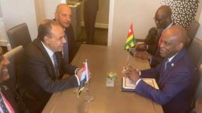وزير الخارجية يستعرض جهود مصر للتوصل إلى تهدئة ووقف الحرب على غزة