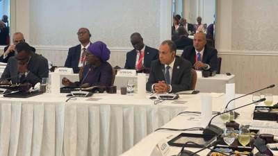 وزير الخارجية والهجرة وشئون المصريين بالخارج يشارك في أولى فعاليات التيكاد