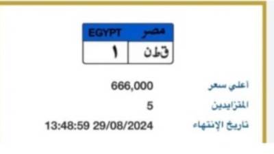 مزاد على لوحة "ق ط ن- 1" المميزة بسعر يتخطى نصف مليون جنيه