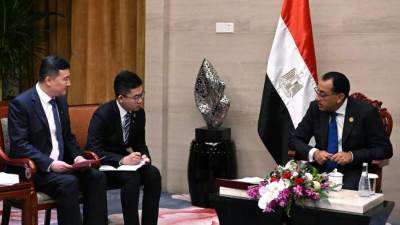 رئيس الوزراء يلتقى رئيس مجلس إدارة مجموعة "فامسون أجريفام" العالمية