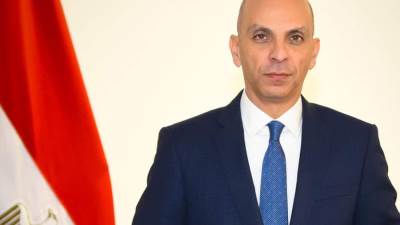 وزير الخارجية يصدر قرارًا بتعيين السفير تميم خلاف متحدثًا رسميا باسم وزارة الخارجية